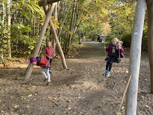 IMG 7148