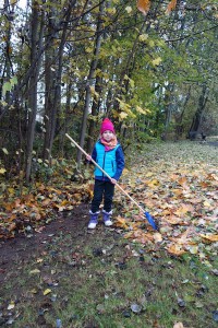 2016 November Herbstputz